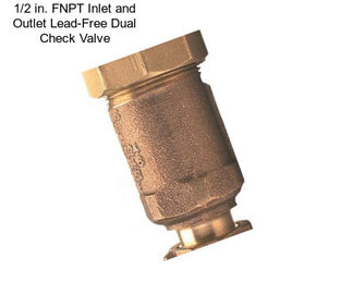 1/2 in. FNPT Inlet and Outlet Lead-Free Dual Check Valve