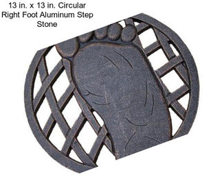 13 in. x 13 in. Circular Right Foot Aluminum Step Stone