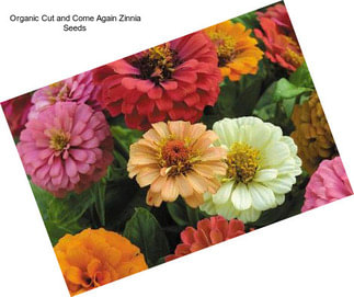 Organic Cut and Come Again Zinnia Seeds