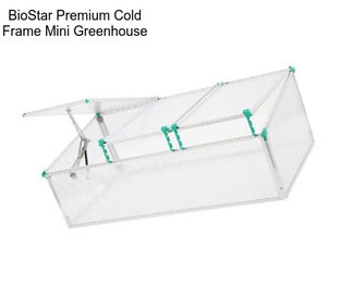 BioStar Premium Cold Frame Mini Greenhouse