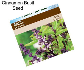 Cinnamon Basil Seed