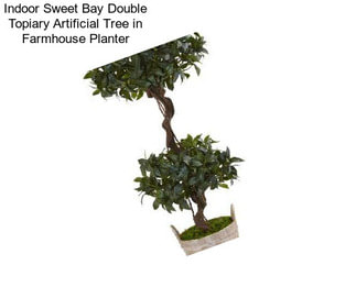 Indoor Sweet Bay Double Topiary Artificial Tree in Farmhouse Planter