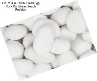 1 in. to 3 in., 30 lb. Small Egg Rock Caribbean Beach Pebbles