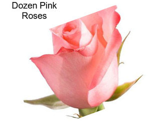 Dozen Pink Roses