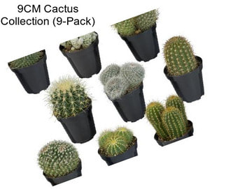 9CM Cactus Collection (9-Pack)