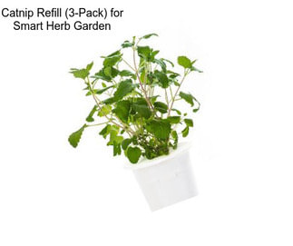 Catnip Refill (3-Pack) for Smart Herb Garden