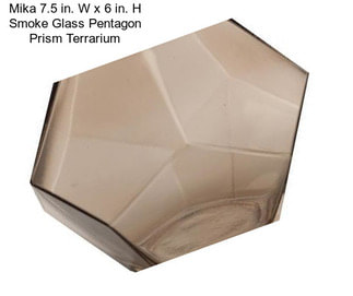 Mika 7.5 in. W x 6 in. H Smoke Glass Pentagon Prism Terrarium