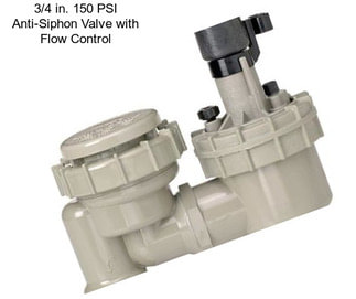 3/4 in. 150 PSI Anti-Siphon Valve with Flow Control