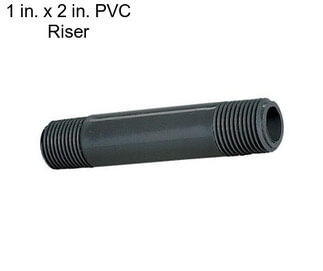 1 in. x 2 in. PVC Riser