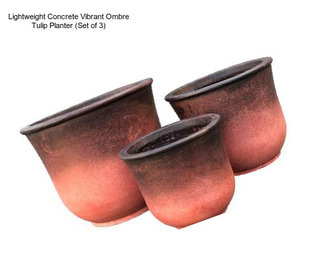 Lightweight Concrete Vibrant Ombre Tulip Planter (Set of 3)