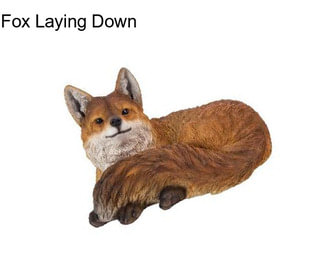 Fox Laying Down