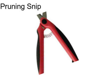 Pruning Snip