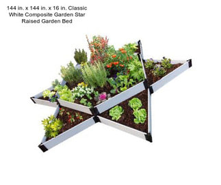 144 in. x 144 in. x 16 in. Classic White Composite Garden Star Raised Garden Bed