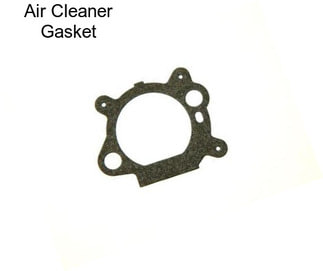 Air Cleaner Gasket