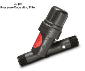 30 psi Pressure-Regulating Filter