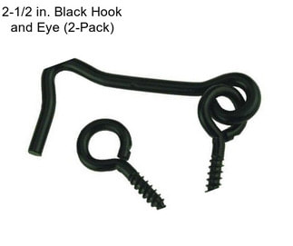 2-1/2 in. Black Hook and Eye (2-Pack)