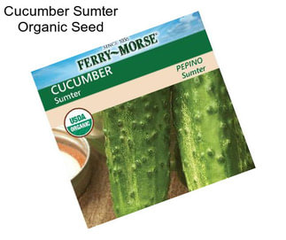 Cucumber Sumter Organic Seed