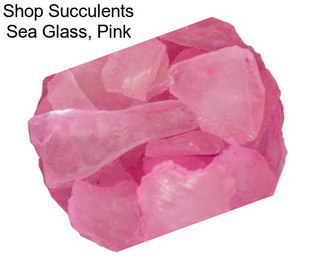 Shop Succulents Sea Glass, Pink