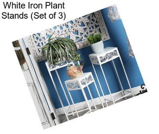 White Iron Plant Stands (Set of 3)