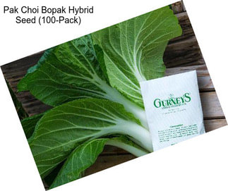 Pak Choi Bopak Hybrid Seed (100-Pack)