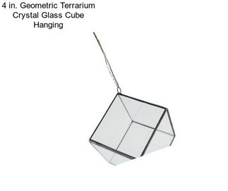 4 in. Geometric Terrarium Crystal Glass Cube Hanging