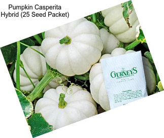 Pumpkin Casperita Hybrid (25 Seed Packet)