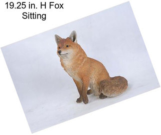 19.25 in. H Fox Sitting