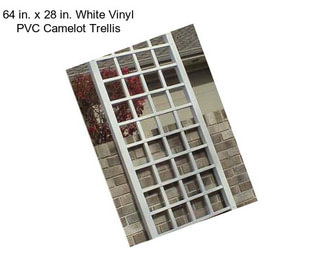 64 in. x 28 in. White Vinyl PVC Camelot Trellis