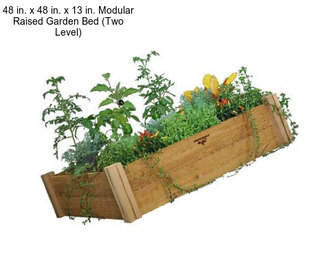 48 in. x 48 in. x 13 in. Modular Raised Garden Bed (Two Level)
