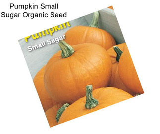 Pumpkin Small Sugar Organic Seed