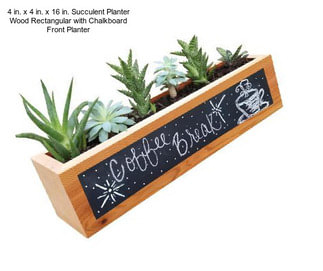 4 in. x 4 in. x 16 in. Succulent Planter Wood Rectangular with Chalkboard Front Planter