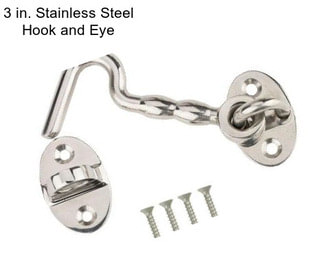 3 in. Stainless Steel Hook and Eye