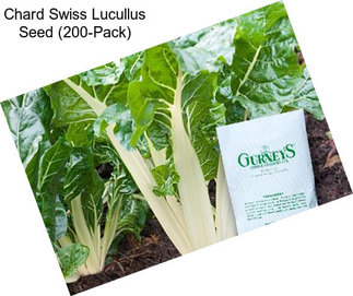 Chard Swiss Lucullus Seed (200-Pack)