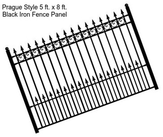 Prague Style 5 ft. x 8 ft. Black Iron Fence Panel