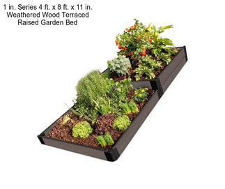 1 in. Series 4 ft. x 8 ft. x 11 in. Weathered Wood Terraced Raised Garden Bed