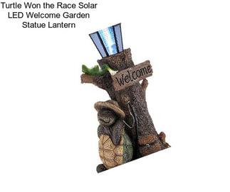Turtle Won the Race Solar LED Welcome Garden Statue Lantern