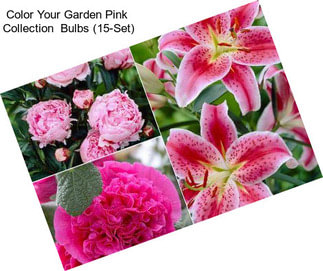 Color Your Garden Pink  Collection  Bulbs (15-Set)