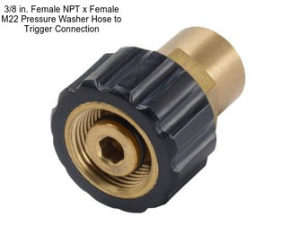 3/8 in. Female NPT x Female M22 Pressure Washer Hose to Trigger Connection