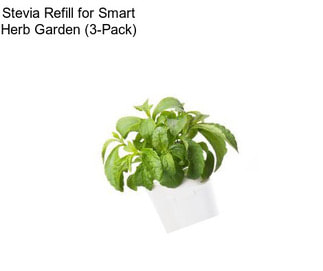 Stevia Refill for Smart Herb Garden (3-Pack)