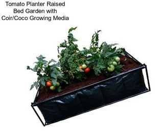 Tomato Planter Raised Bed Garden with Coir/Coco Growing Media