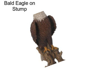 Bald Eagle on Stump