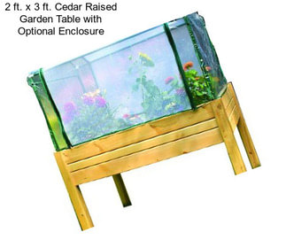 2 ft. x 3 ft. Cedar Raised Garden Table with Optional Enclosure