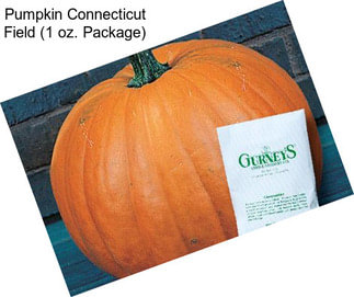Pumpkin Connecticut Field (1 oz. Package)