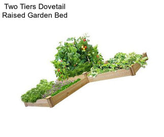 Two Tiers Dovetail Raised Garden Bed