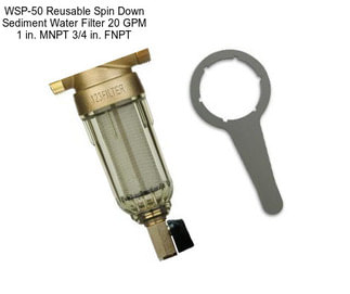 WSP-50 Reusable Spin Down Sediment Water Filter 20 GPM 1 in. MNPT 3/4 in. FNPT