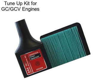 Tune Up Kit for GC/GCV Engines