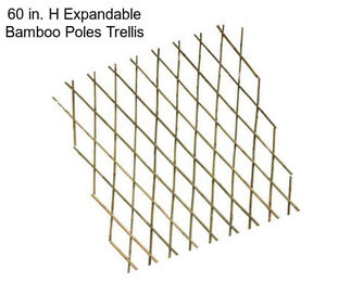 60 in. H Expandable Bamboo Poles Trellis