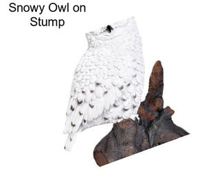 Snowy Owl on Stump