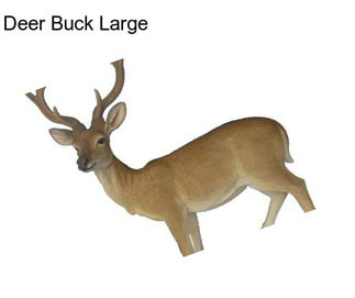 Deer Buck Large