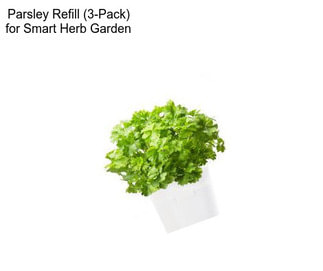 Parsley Refill (3-Pack) for Smart Herb Garden